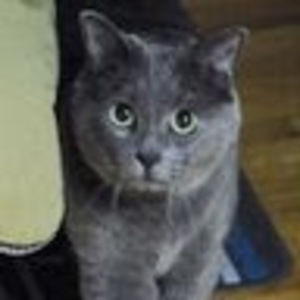 Meet your Posher, Tracey